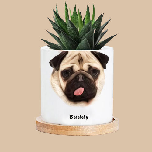 Personalized Cartoon Character Plant Pot
