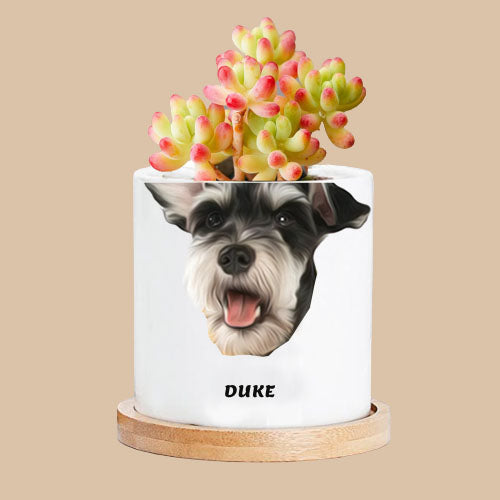 Personalized Cartoon Character Plant Pot
