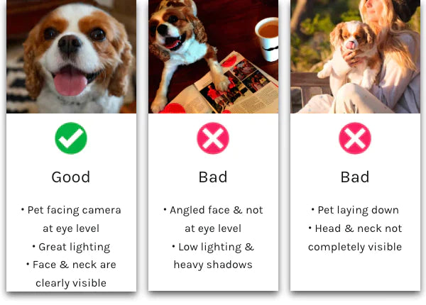 Personalized Pet Dog Cat Custom Soft Blanket