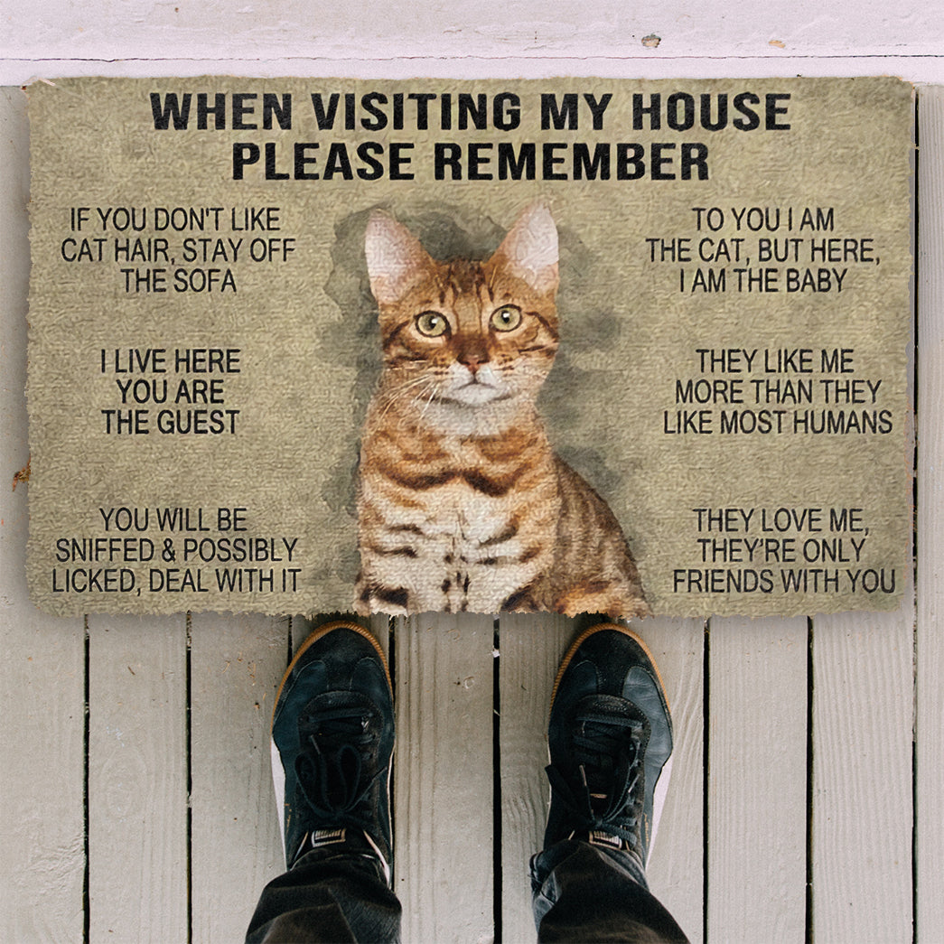 When Visting My House Please Remember Cat Doormat