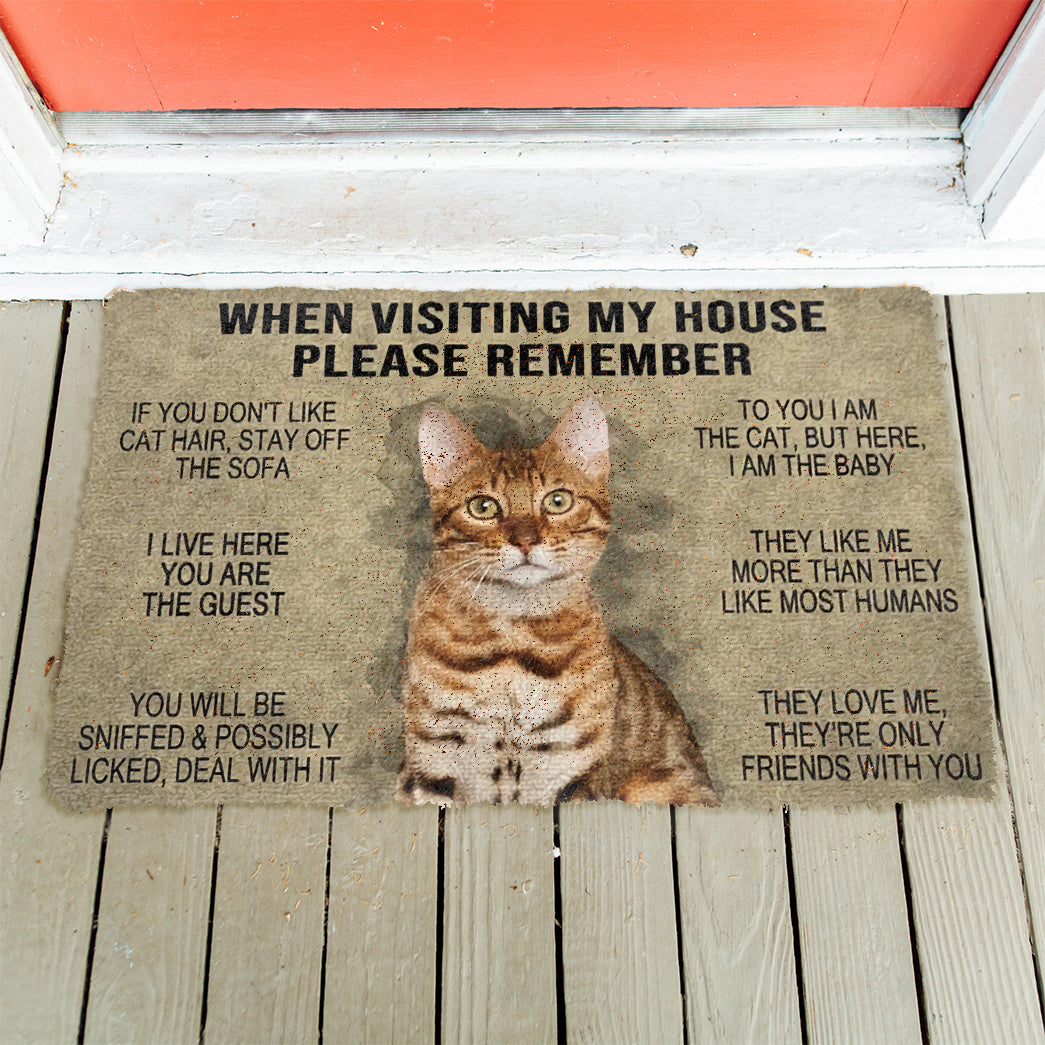 When Visting My House Please Remember Cat Doormat