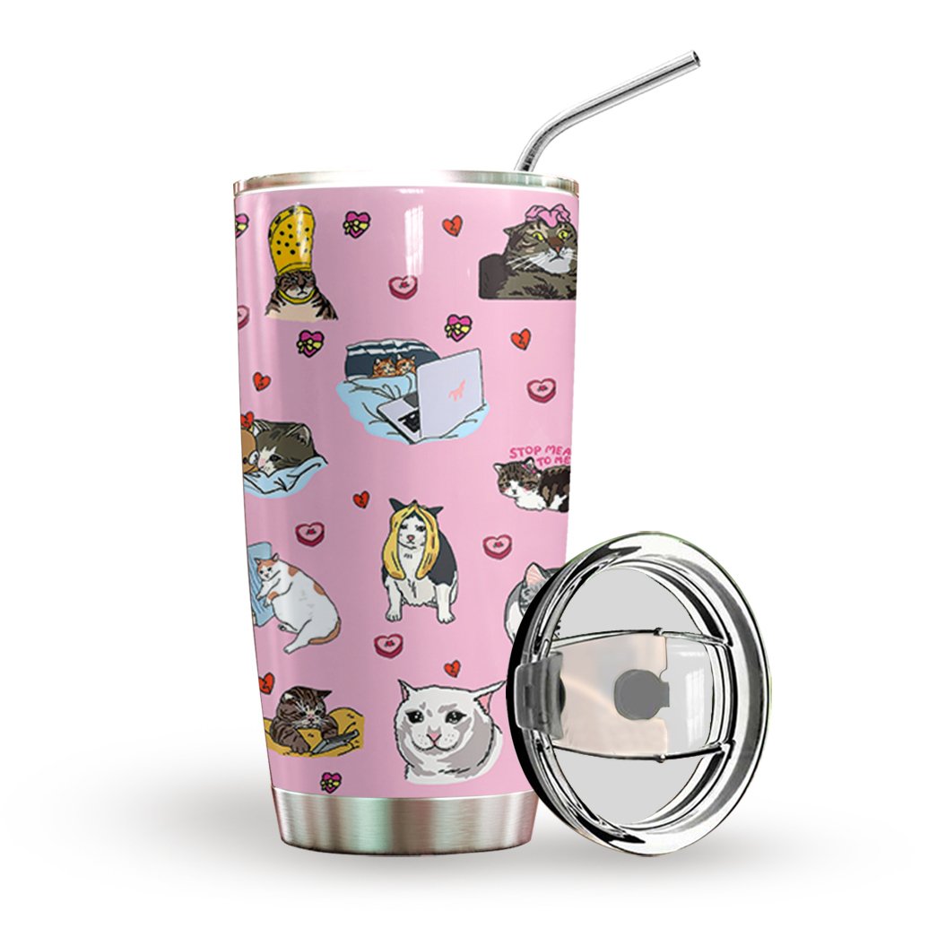 Sad Cat Meme Pink Custom Tumbler