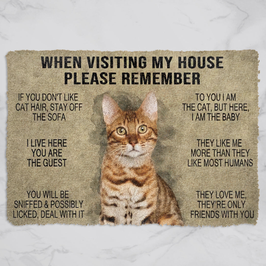 When Visting My House Please Remember Cat Doormat