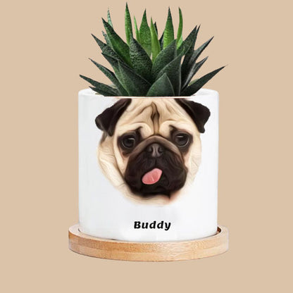 Personalized Cartoon Character Plant Pot