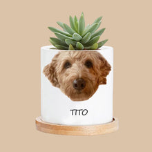 Load image into Gallery viewer, Personalized Cartoon Character Plant Pot
