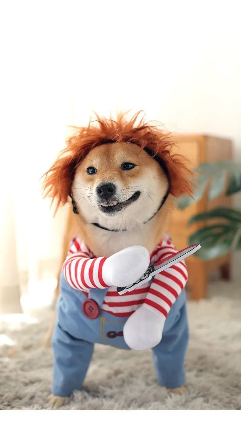 Halloween Pet Dog Cat Costume