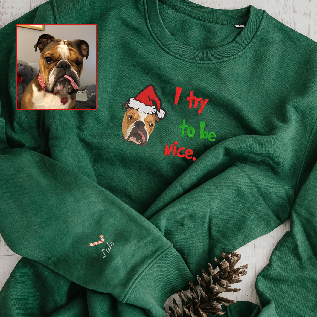 Personalized Embroidered Christmas I Try To Be Nice Pet Dog Cat Hoodie Sweatshirt T-Shirt