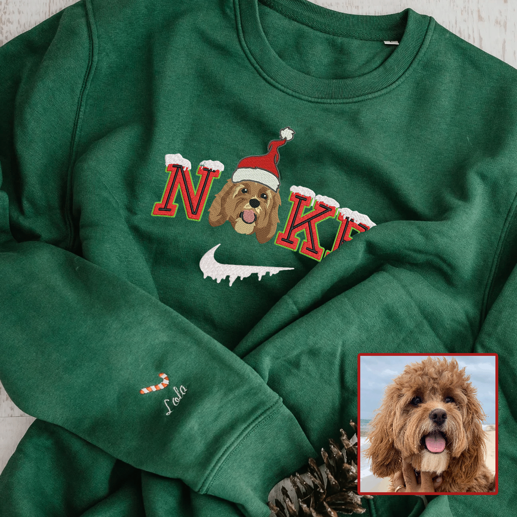 Personalized Embroidered Christmas Snow Pet Dog Cat Hoodie Sweatshirt T-Shirt