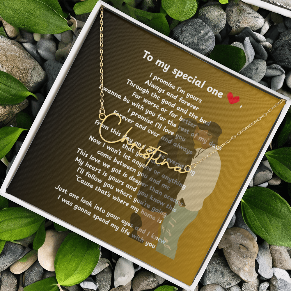 Personalized To My Special One Signature Name Necklace