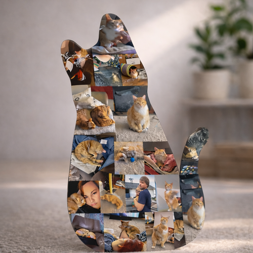 Personalized Sitting Cat Photo Collage Acrylic Plaque