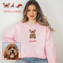 Load image into Gallery viewer, Personalized Embroidered Pet Dog Cat Christmas Hoodie Sweatshirt T-Shirt
