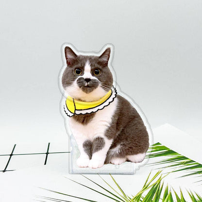 Customize Pet Shake Head Decoration