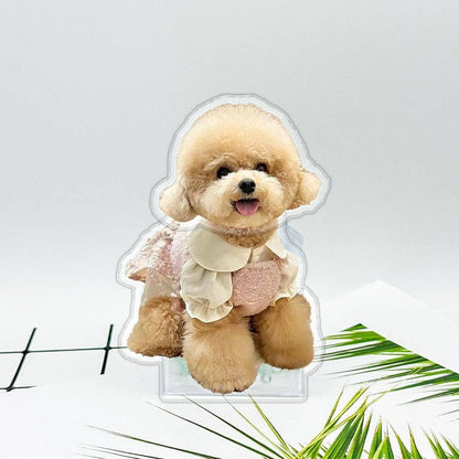 Customize Pet Shake Head Decoration