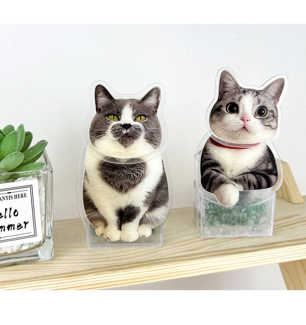 Customize Pet Shake Head Decoration