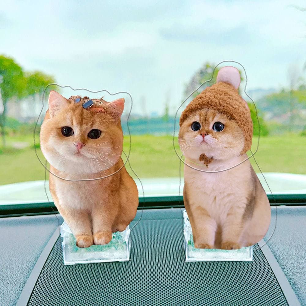 Customize Pet Shake Head Decoration