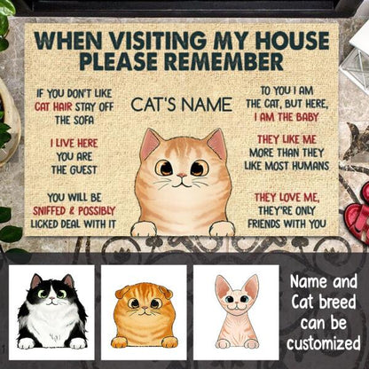 When Visiting My House Please Remember Personalized Doormat - Cat, Name can be customized