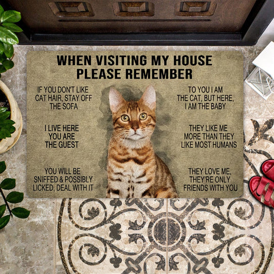 When Visting My House Please Remember Cat Doormat