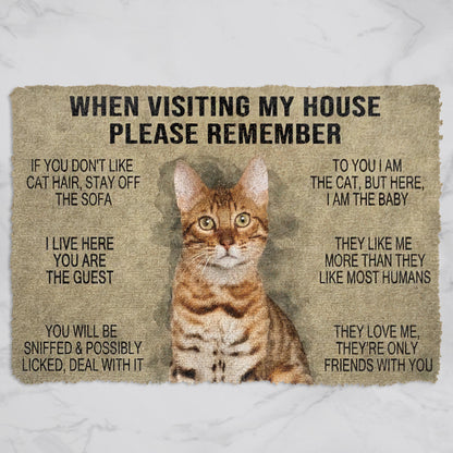 When Visting My House Please Remember Cat Doormat