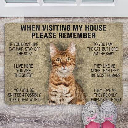 When Visting My House Please Remember Cat Doormat