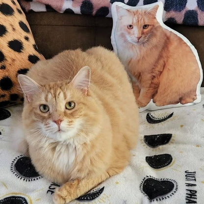 Personalized Pet Dog Cat Pillow Double-Sided Printing